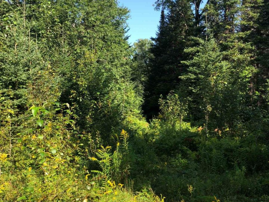 LOT 6-10 MOON ROAD, 
