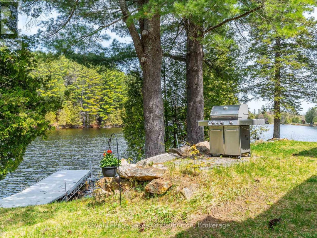 1089 PIONEER ROAD, Gooderham Lake