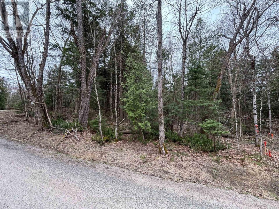 LOT 1 LOCH ERNE ROAD, McDougall