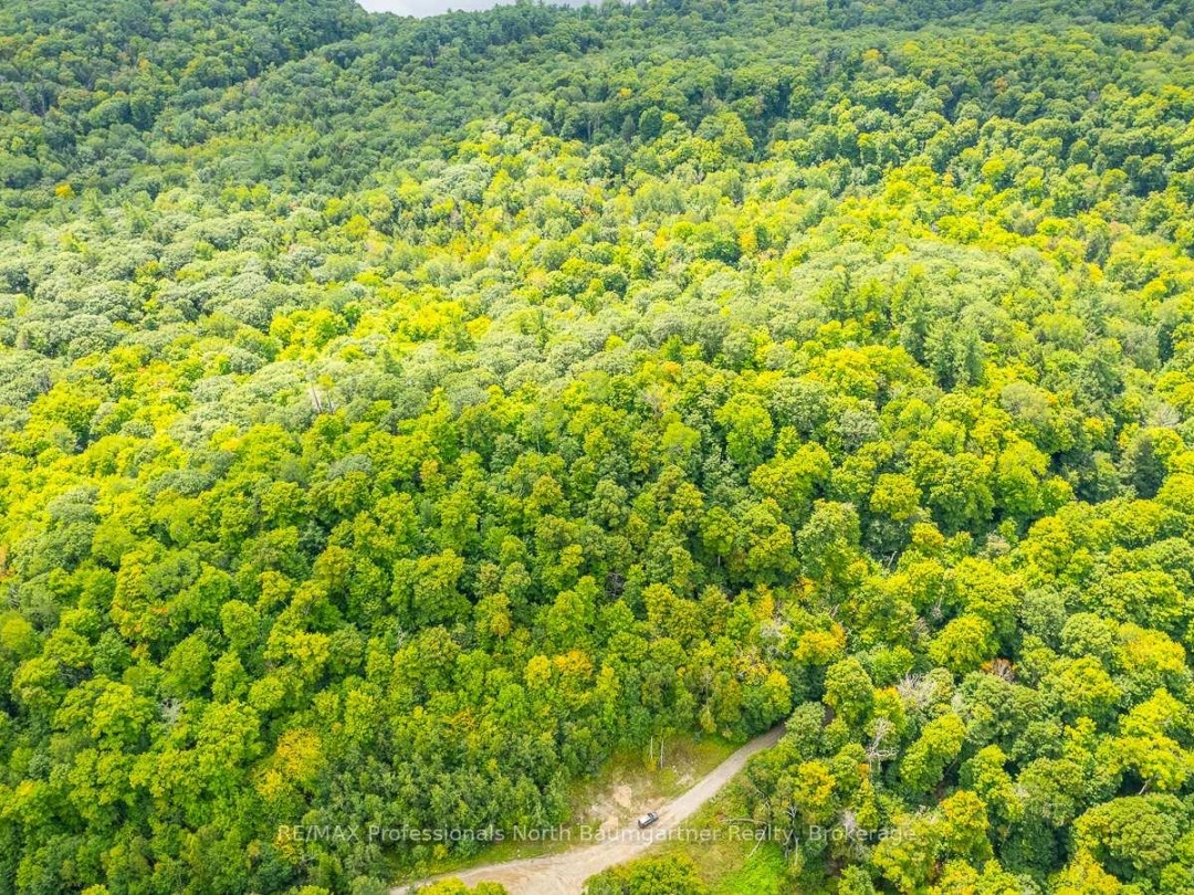 0 ADELINE TRAIL TRAIL, 