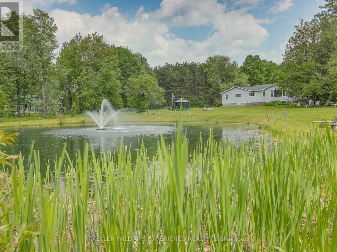 1183 BASELINE ROAD, 