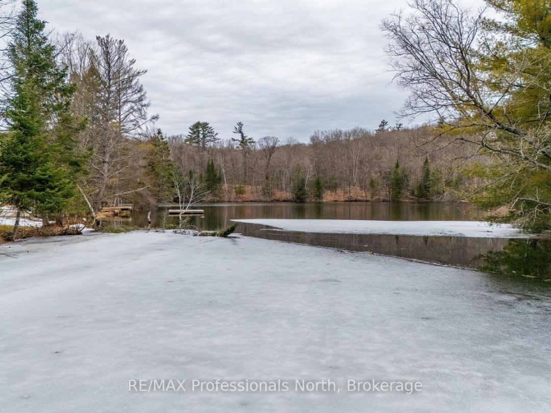 1010 Sturgeon Drive, Minden Lake