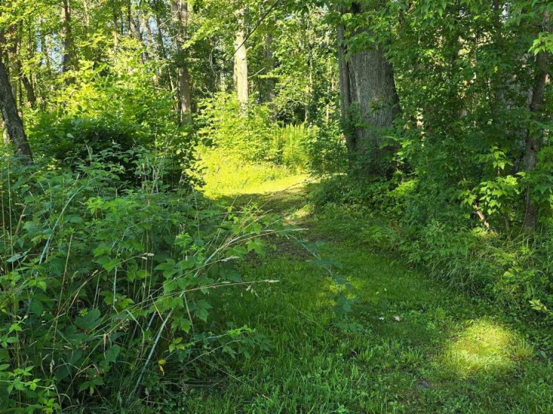 72 COLDWATER ROAD, 