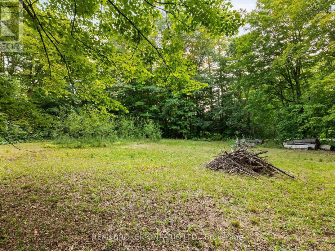 1401 Coopers Falls Road, Black Lake