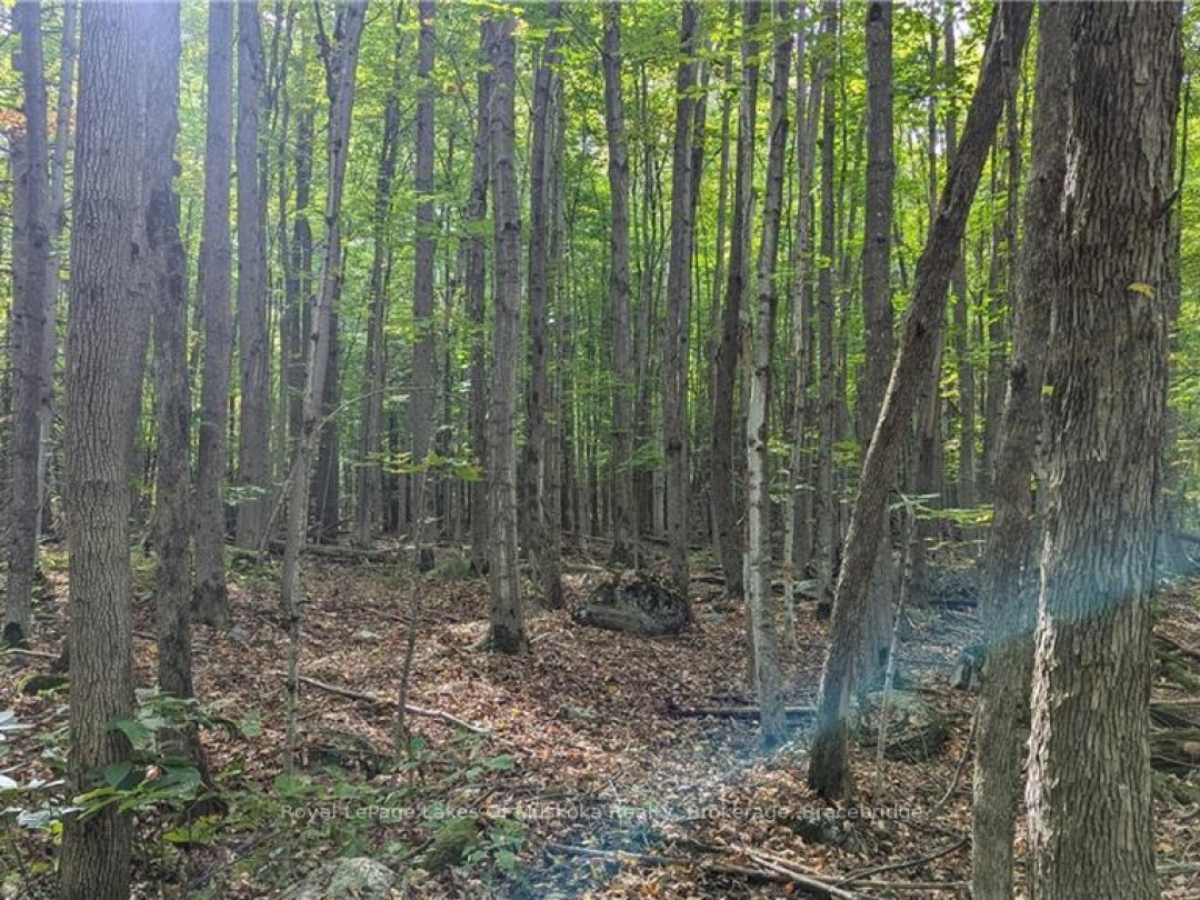 0 Mt St Louis Road, Oro-Medonte