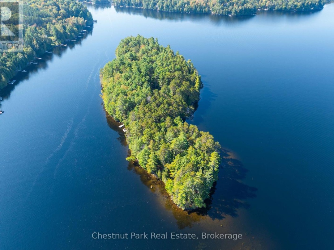 1000 Brown Island, Soyers Lake