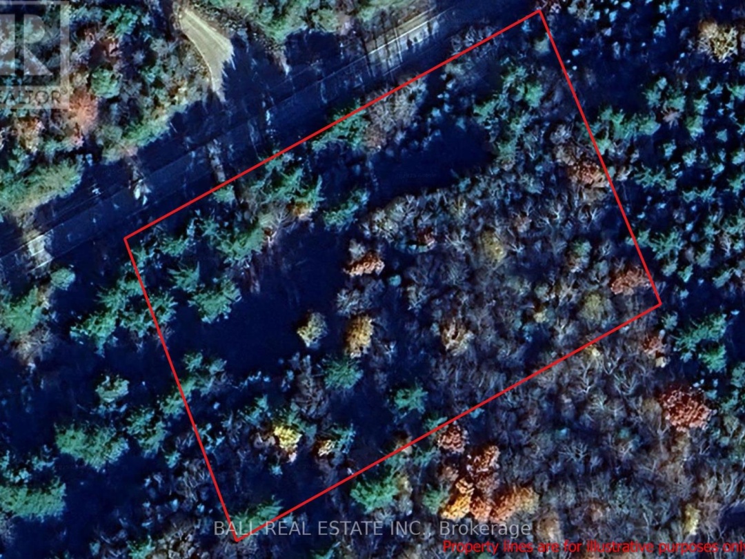 CON 6 PTLT11 KENNISIS LAKE ROAD, 