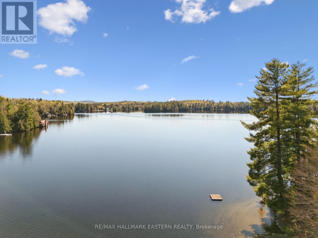 1025 Dickies Lane, Gooderham Lake