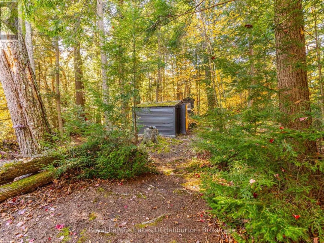 1017 Palace Drive, Little Kennisis Lake