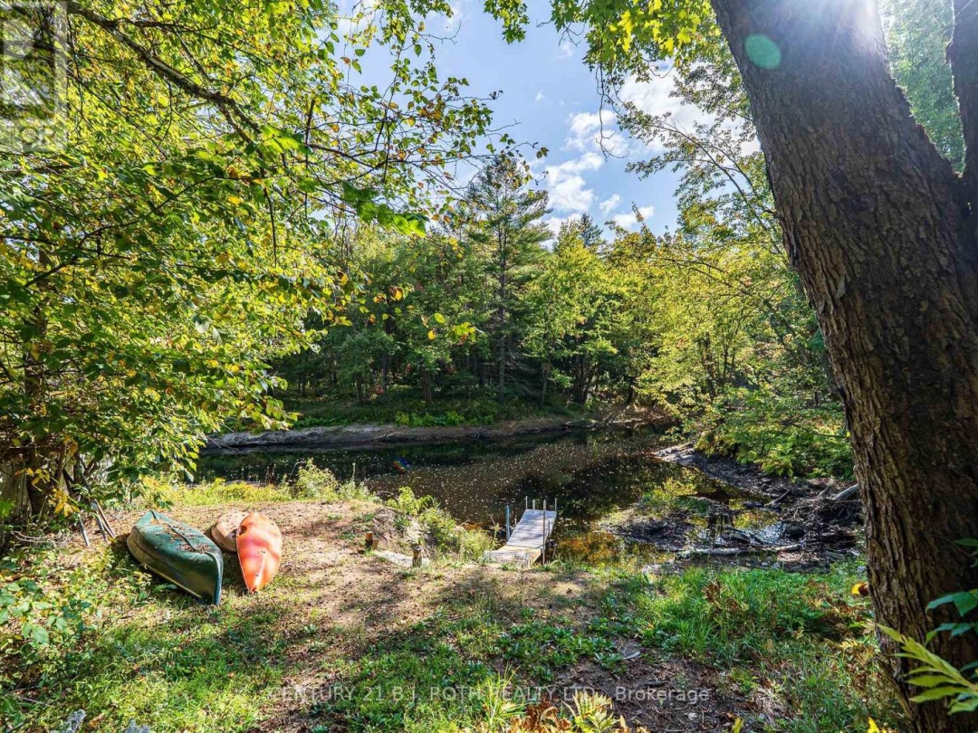 8101 KINGS RIVER ROAD, 