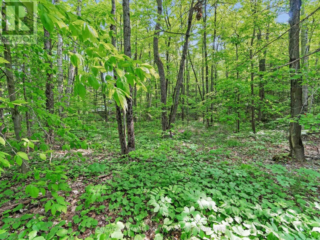 1141 Kanawa Lane, Kushog Lake