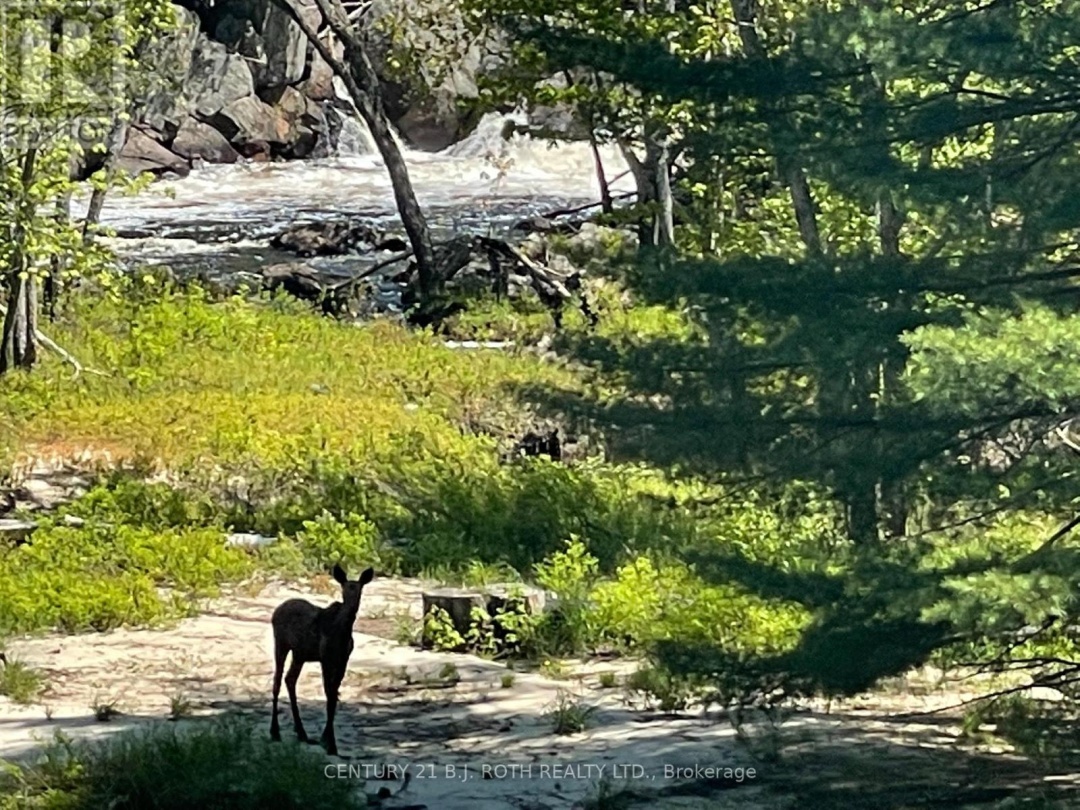 8101 KINGS RIVER ROAD, 