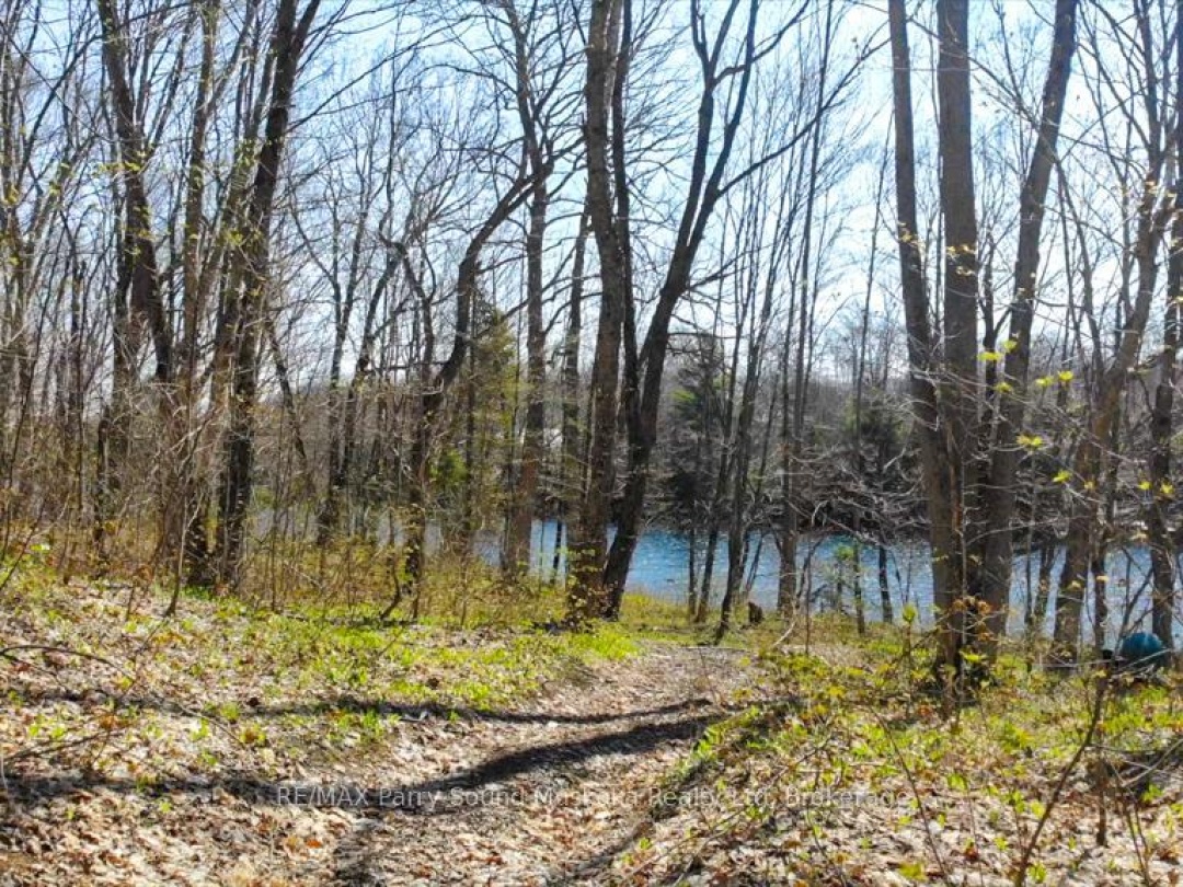550 Shawanaga Lake, Shawanaga Lake