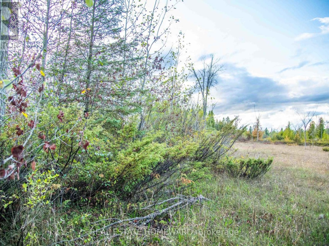 LOT 254 MCGUIRE BEACH ROAD, 