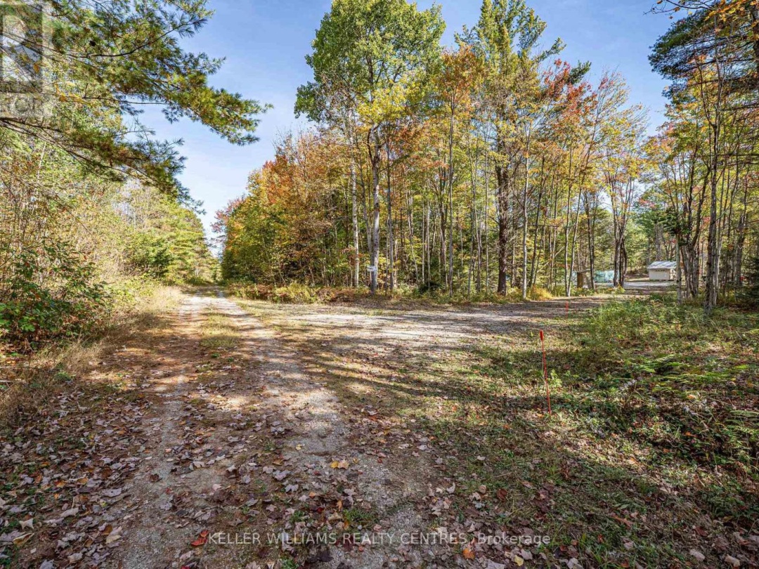 3124 SOUTHWOOD ROAD, 
