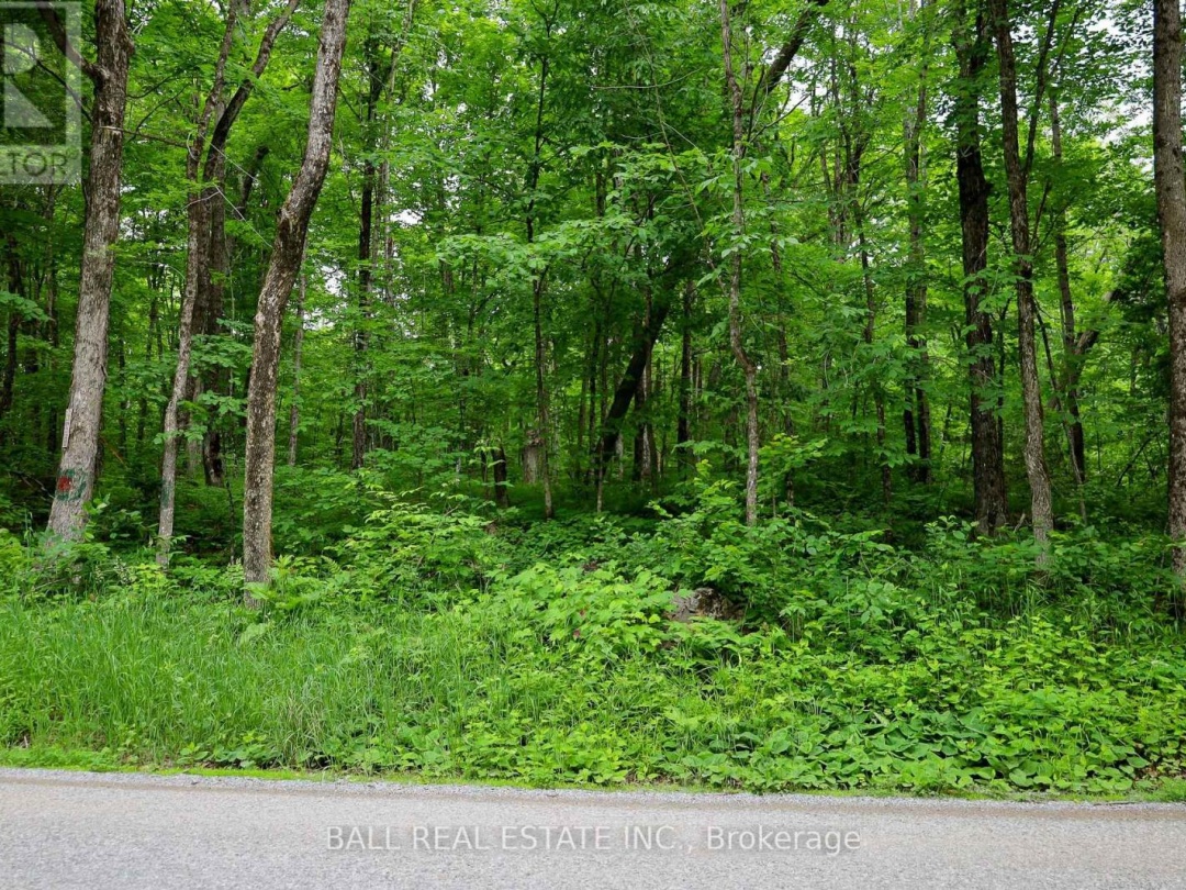 0 NORTHERN AVENUE, 
