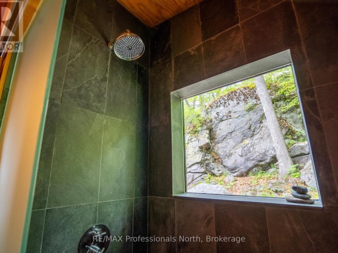 11405 DRAG LAKE EAST SHORE, 