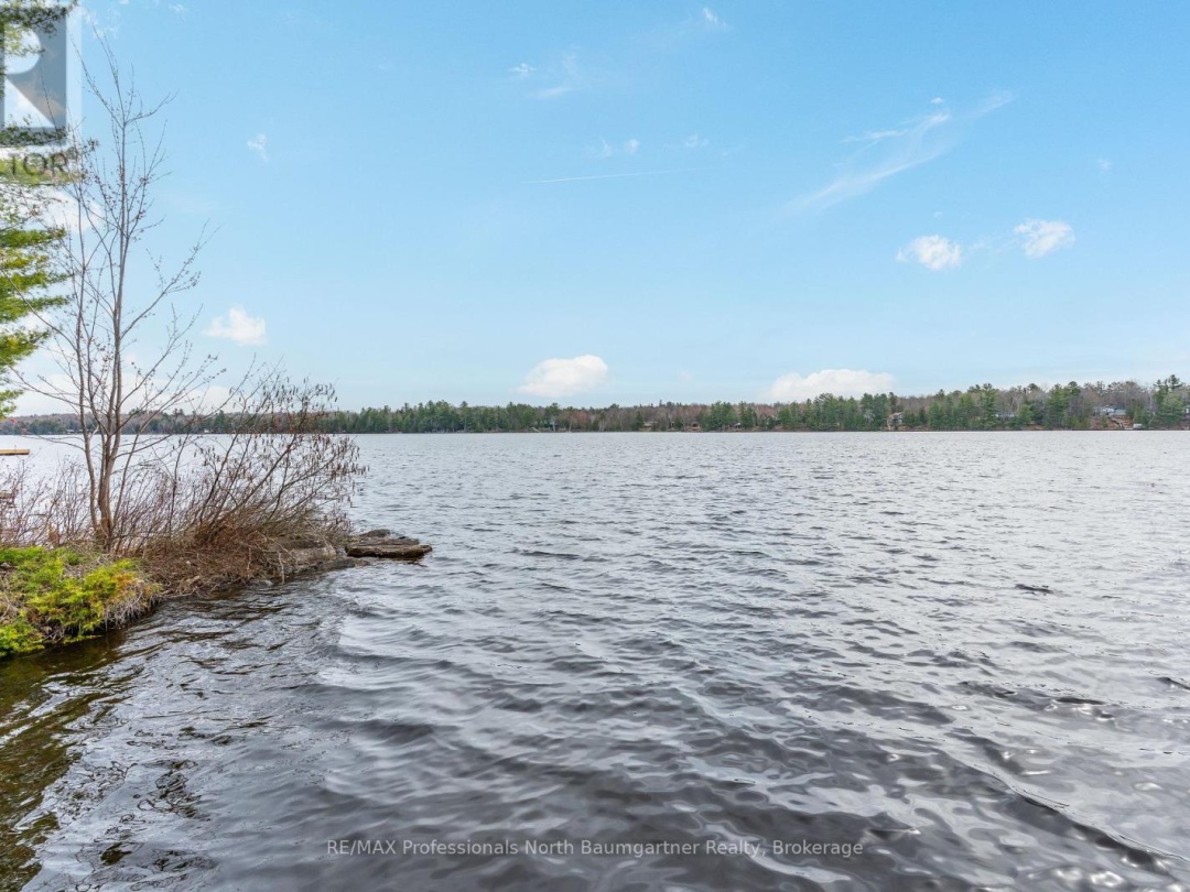 1175 Twin Rocks Lane, Kushog Lake