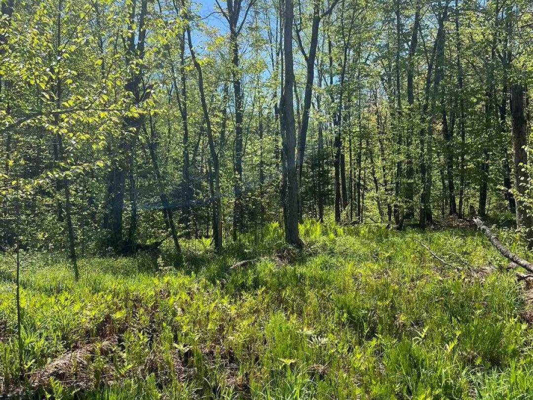 0 TRAPPER'S TRAIL ROAD, 