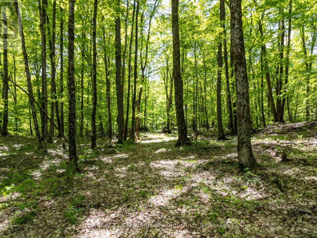 1145 Mink Road, Long Lake