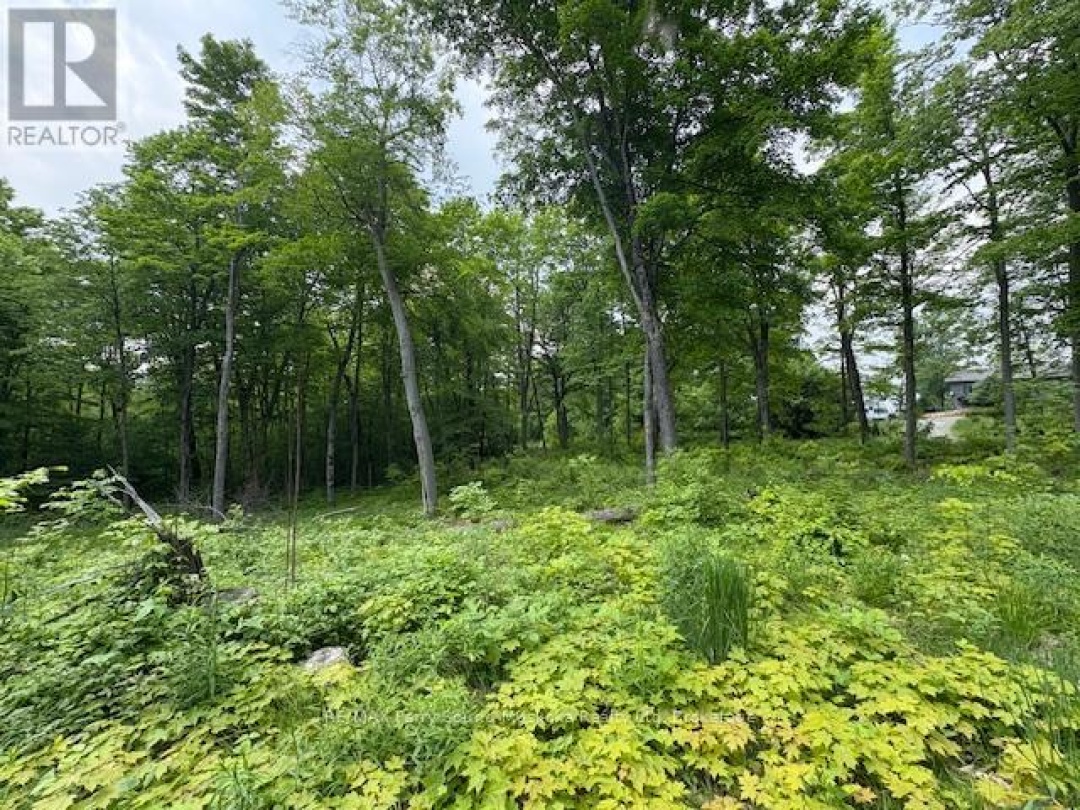 0 Loucks Road, Seguin