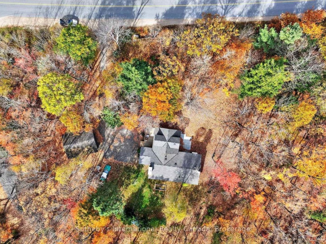 1132 LIMBERLOST ROAD, 