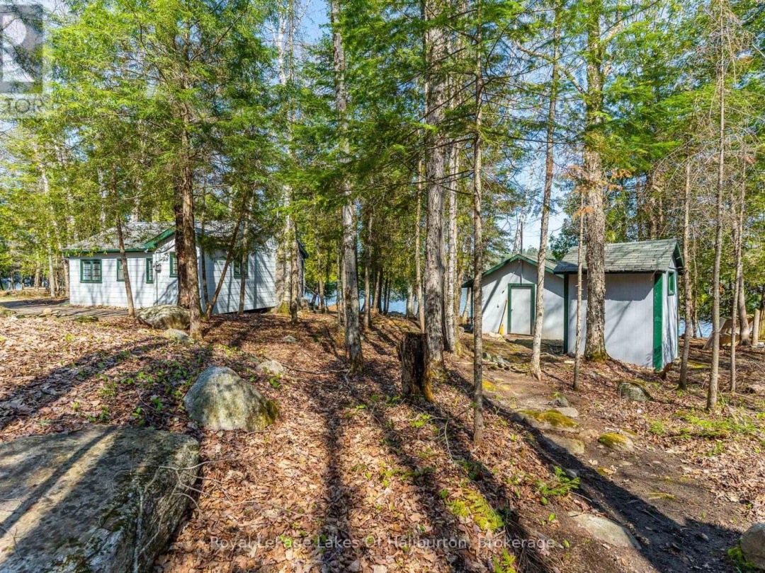 1096 Reg's Trail, Drag Lake