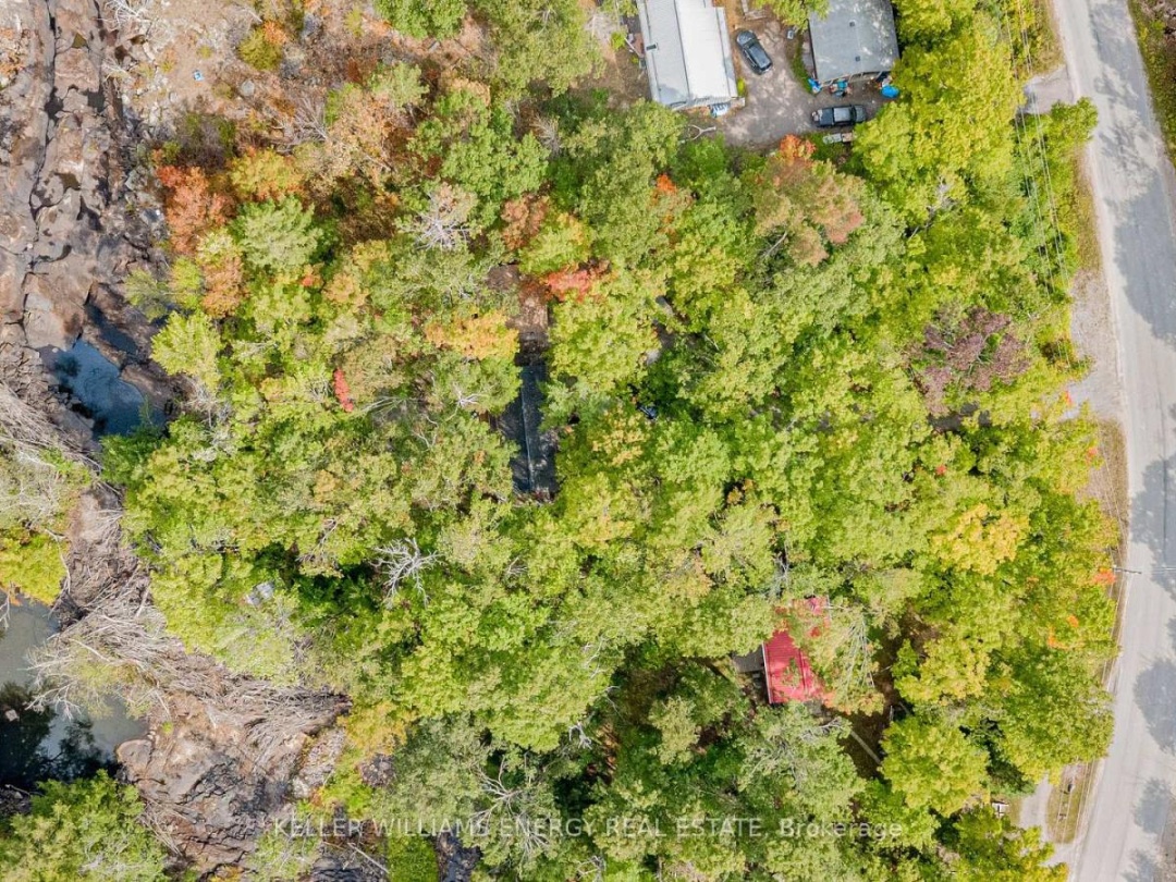 260 EDWINA DRIVE, 