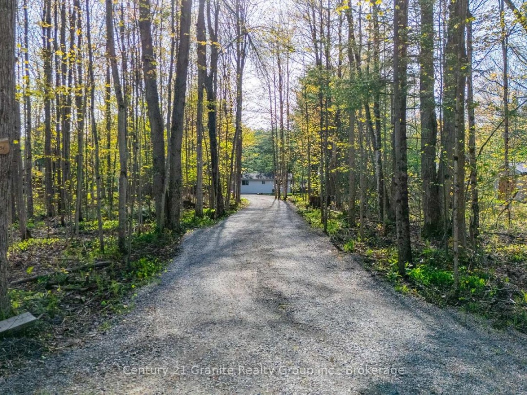 1954 SOUTH BEAVER LAKE LANE, Gull Lake