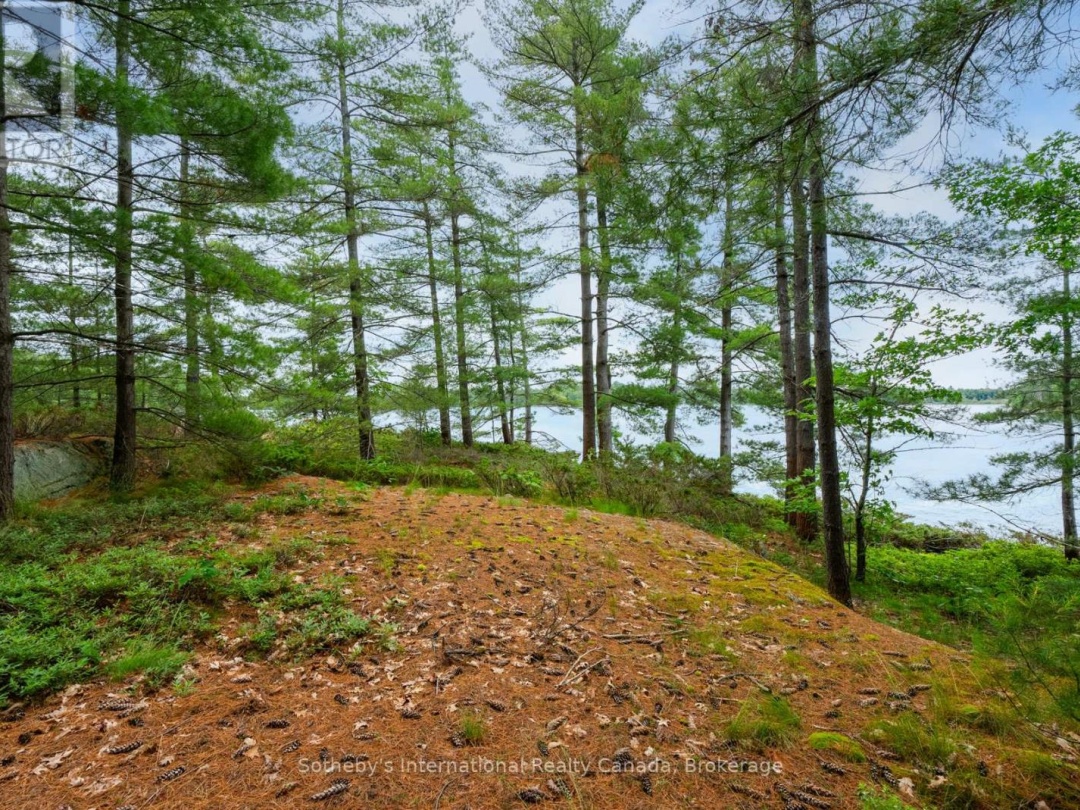 16Lk 1 Wolf Island, Kahshe Lake