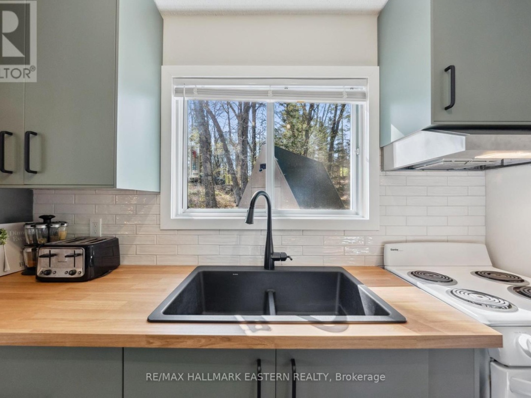 1025 Dickies Lane, Gooderham Lake