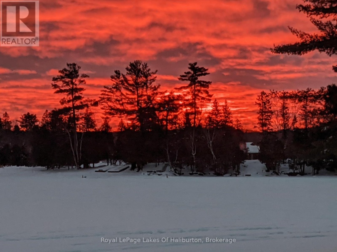 1089 PIONEER ROAD, Gooderham Lake