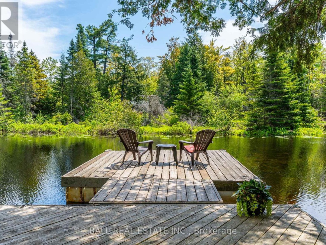 73 SUNSET COURT, Little Bald Lake