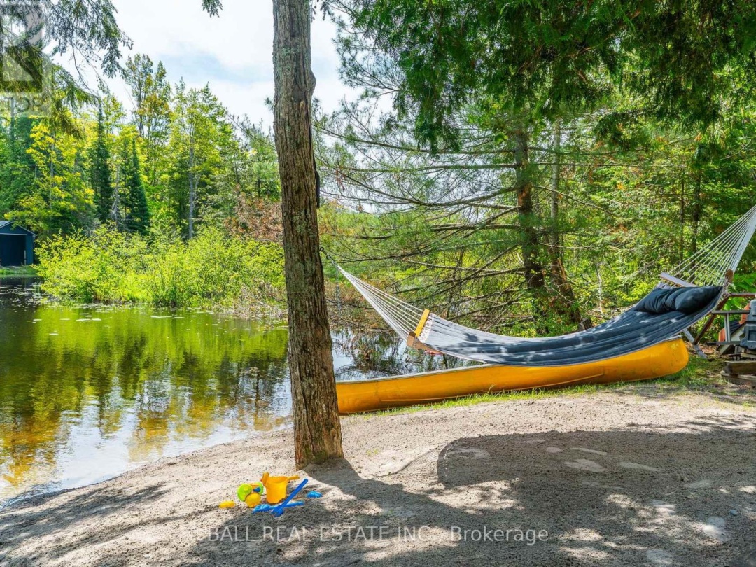 73 SUNSET COURT, Little Bald Lake