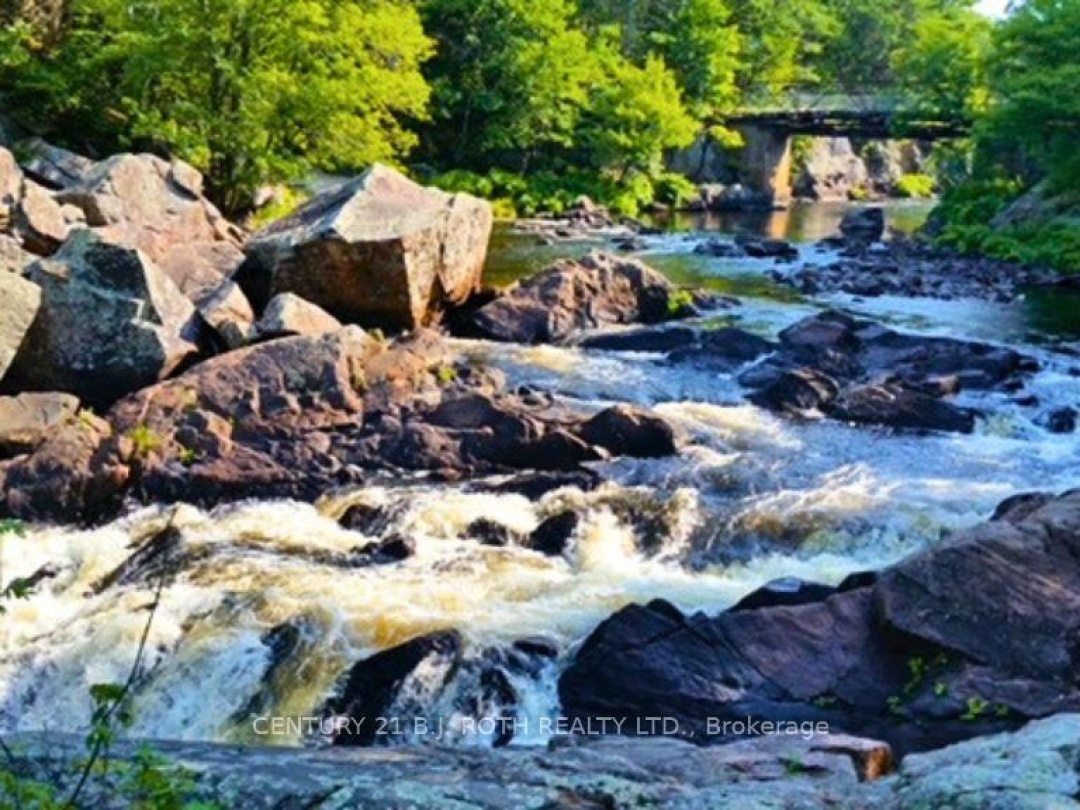 8101 KINGS RIVER ROAD, 