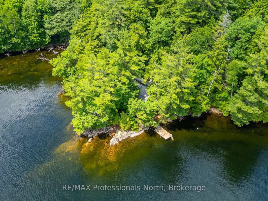 53437 BIG HAWK LAKE, 