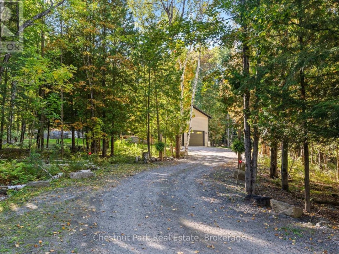 170 SPRINGFIELD ROAD, 