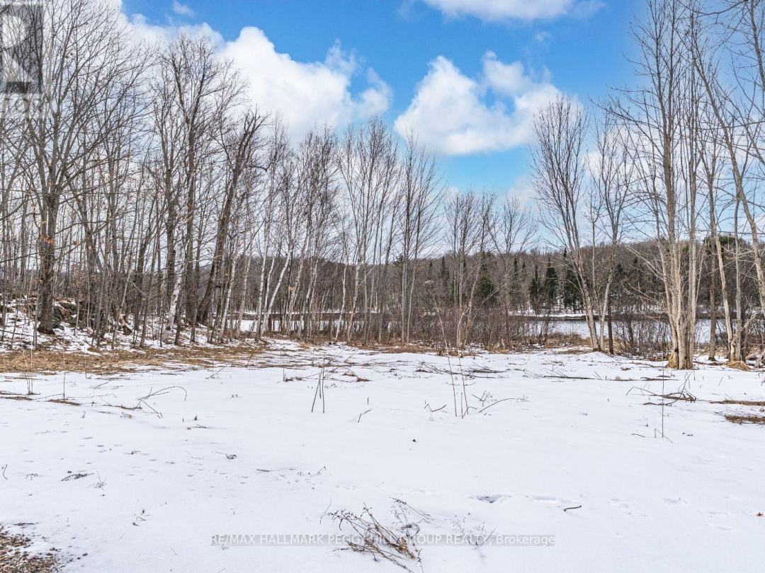 91B Highway 124, Mountain Basin Lake