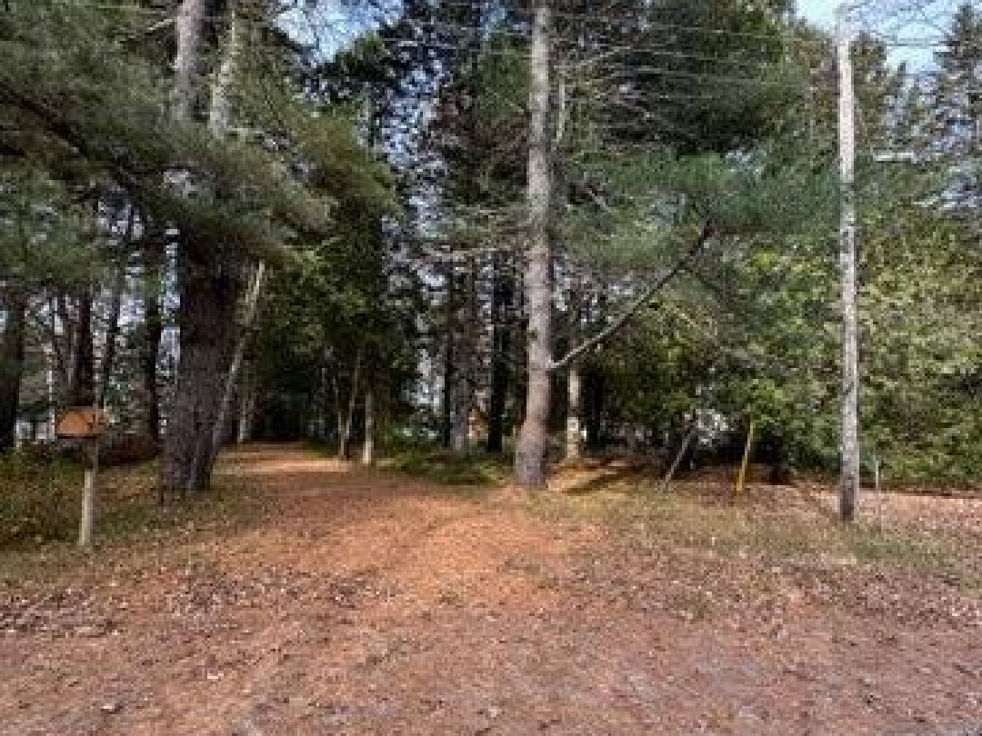 82 Bradley Road, Blackwater Lake