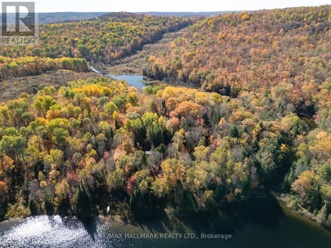 3517 HALIBURTON LAKE ROAD, 