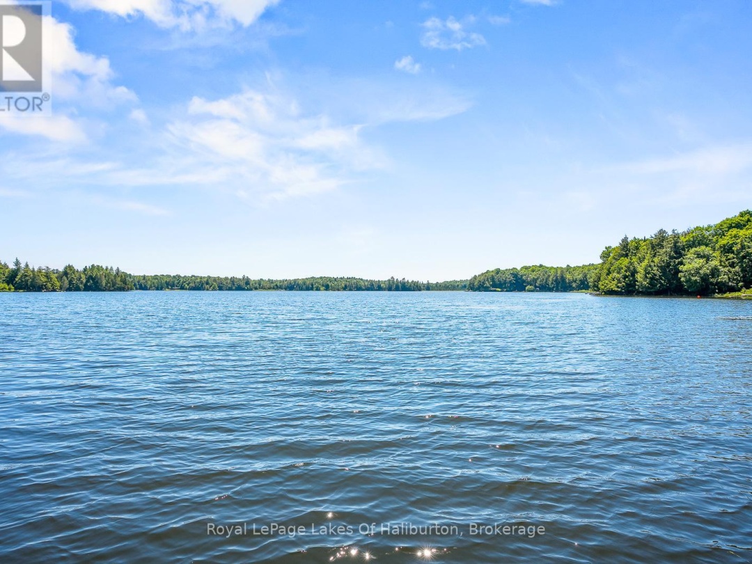 1047 Balmoral Lane, Trooper Lake