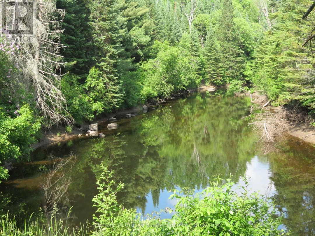 10208 COUNTY RD 503 ROAD, 