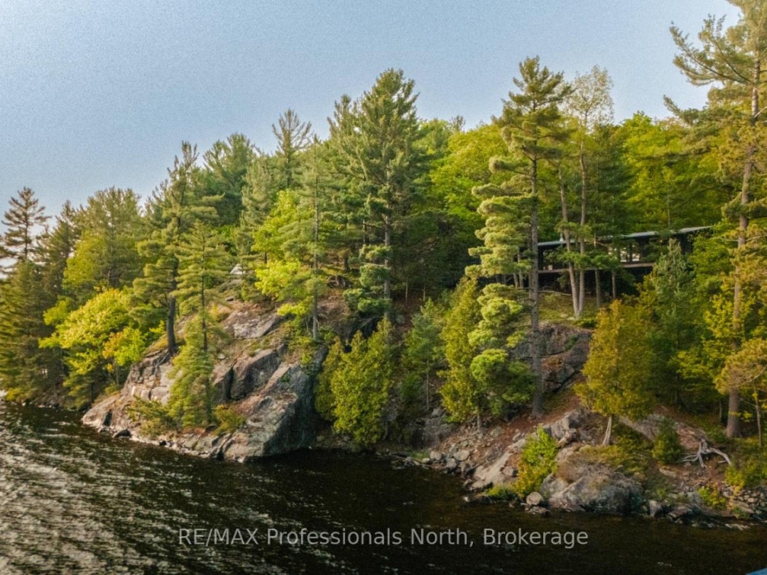 11405 DRAG LAKE EAST SHORE, 