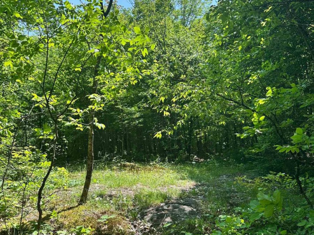 1527 MADILL ROAD, 