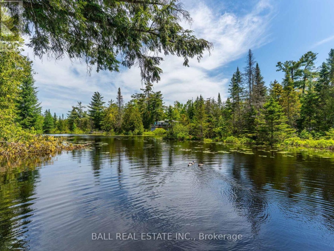 73 SUNSET COURT, Little Bald Lake