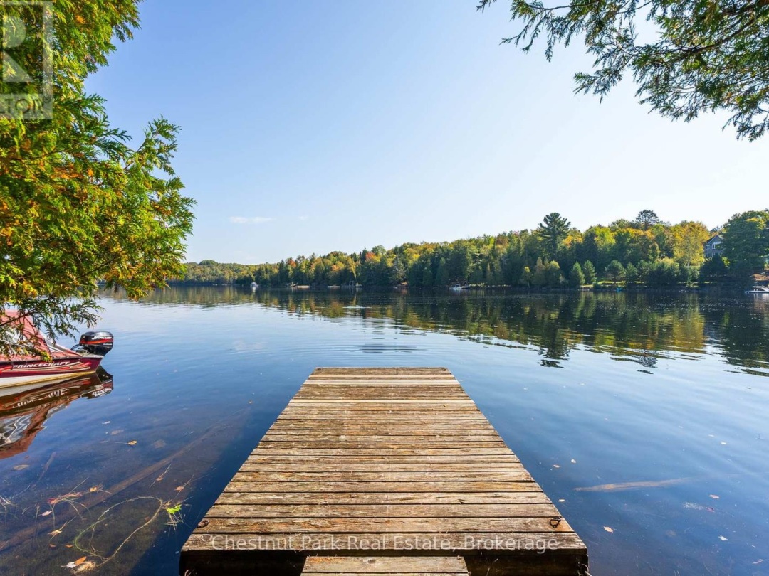 1000 Brown Island, Soyers Lake
