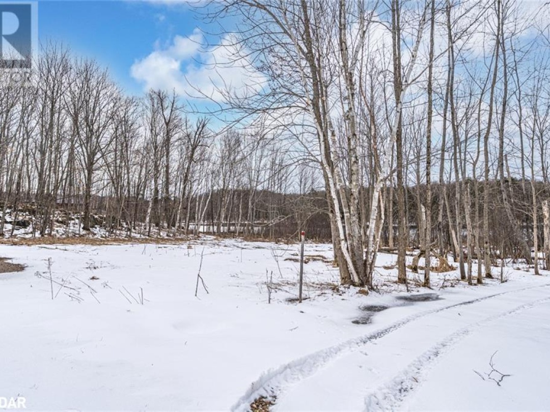 91B HIGHWAY 124, 