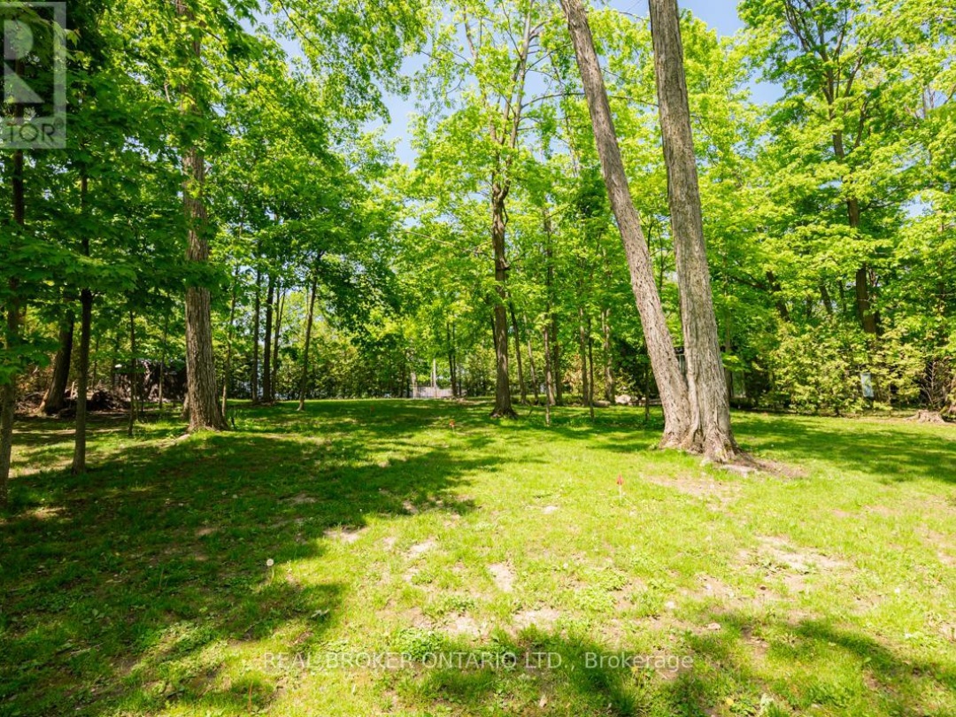 45 IVY LANE, 