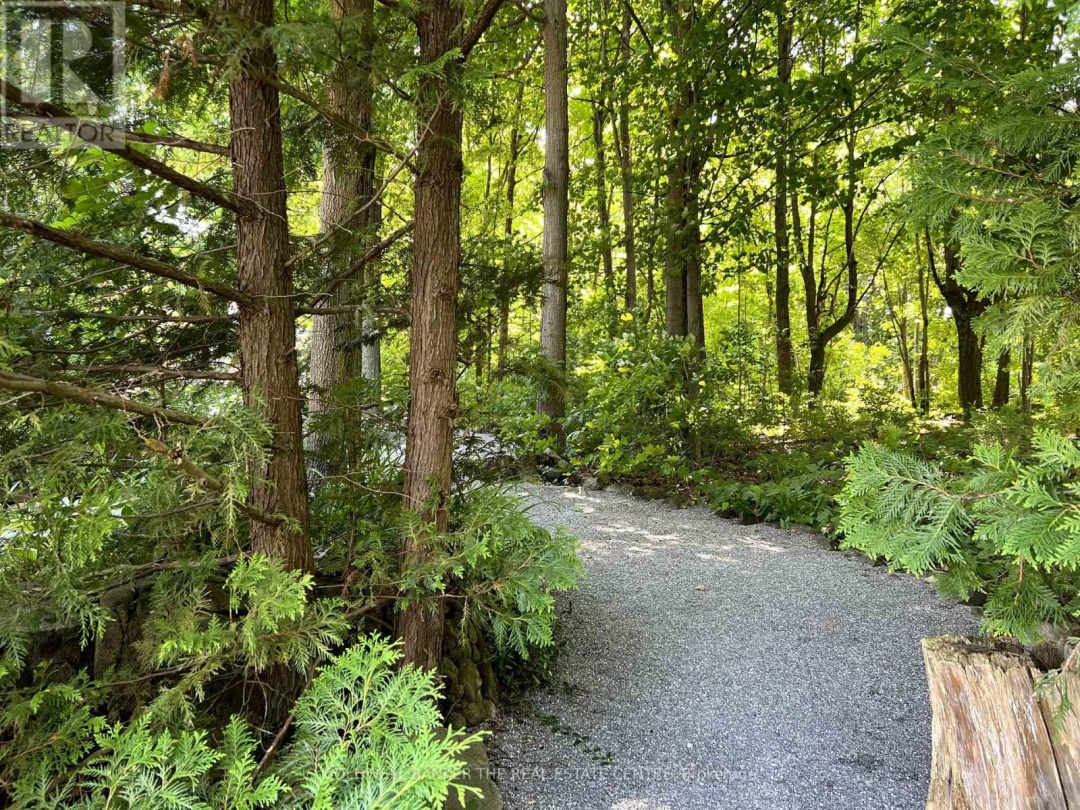 85 Grove Road, Cameron Lake