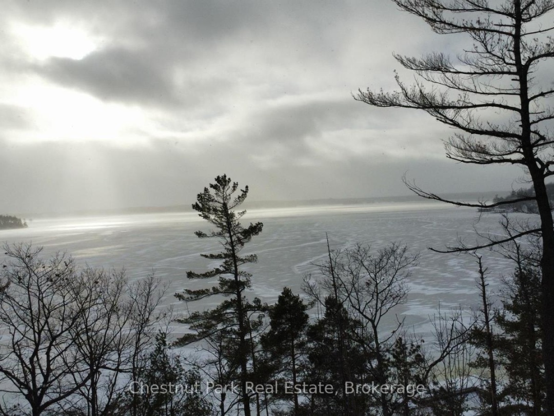 E206B1 - 1869 MUSKOKA 118 ROAD W, Lake Muskoka